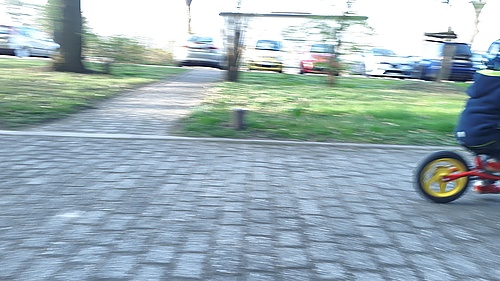 zu spät auf den Auslöser gedrückt, Mika ist auf dem Laufrad schon vorbei geflitzt.