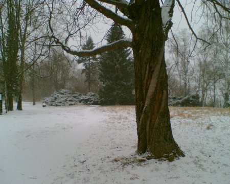 Verschneiter Volkspark in Dresden