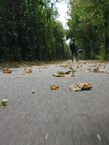 Skater