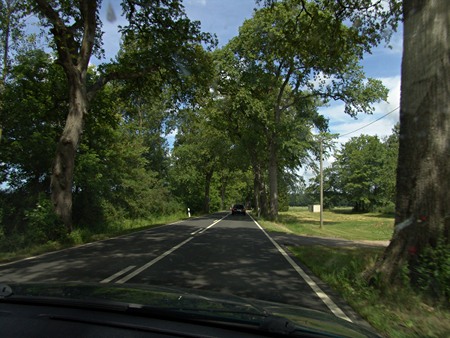 Deutsche Alleenstraße auf Rügen