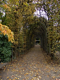 Botanischer Garten in Köln