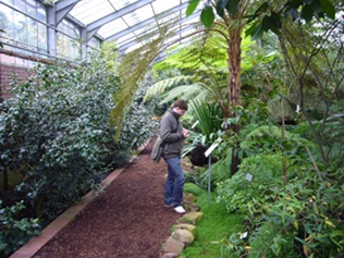 Gewächshaus Botanischer Garten in Köln