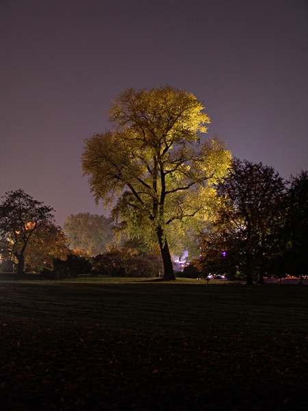 Köln Park bei Nacht