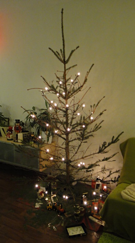 Weihnachtsbaum Ende Januar