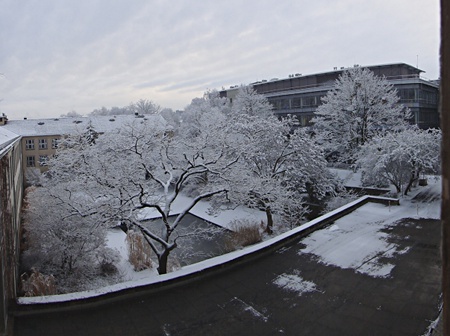 Dresden winterlich verschneit