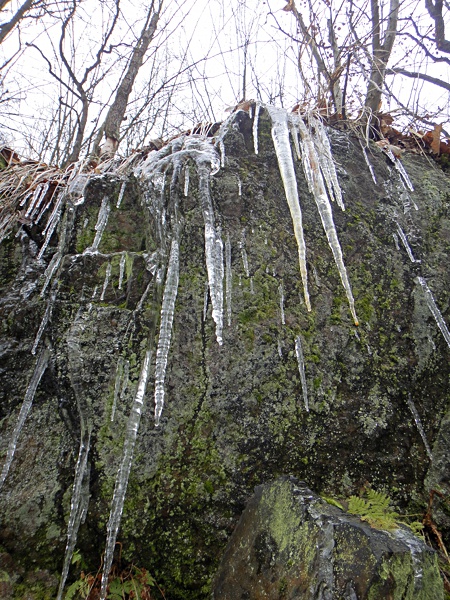 Eiszapfen - Tropfnasen