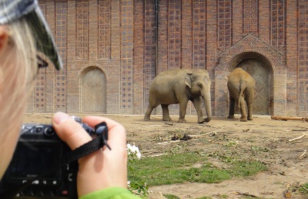 Zoo Leipzig