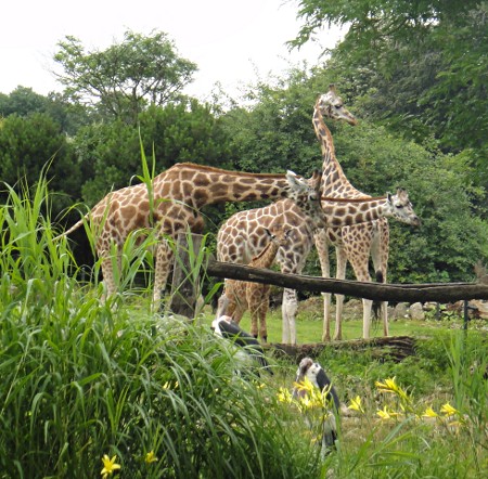 Zoo Leipzig