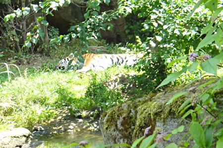 Zoo Leipzig