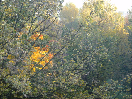 Herbstglühen