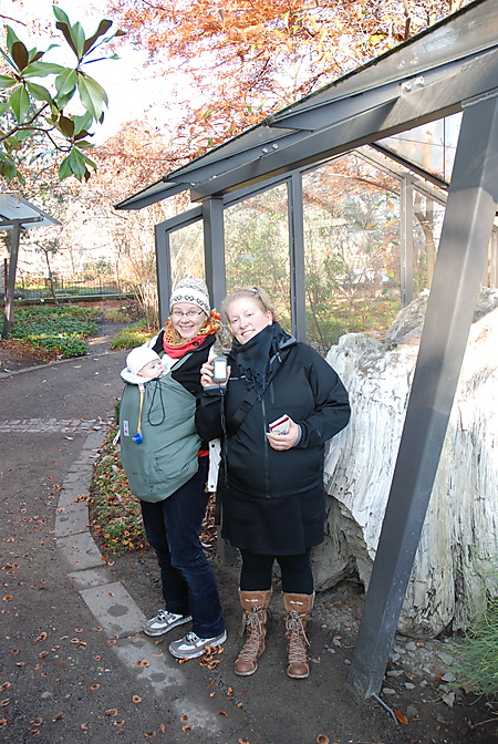 Earthcache im Botanischen Garten, Dresden