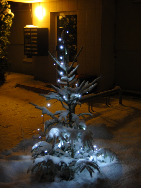 Weihnachtsbäumchen mit Lichterkette