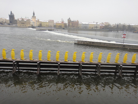 Museum Kampa, Pinguine