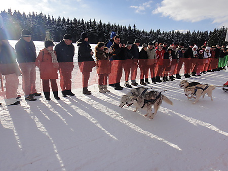 Start Schlittenhunderennen, Nassau