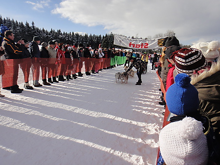 Start Schlittenhunderennen, Nassau