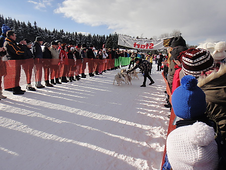 Start Schlittenhunderennen, Nassau