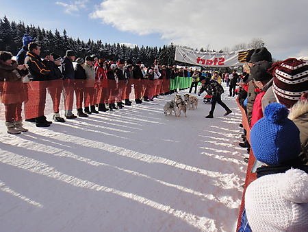 Start Schlittenhunderennen, Nassau