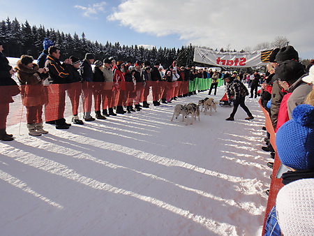 Start Schlittenhunderennen, Nassau