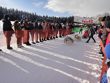 Start Schlittenhunderennen, Nassau