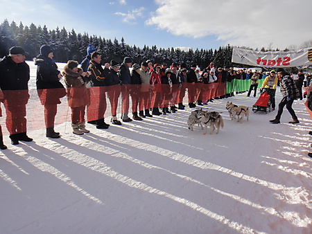 Start Schlittenhunderennen, Nassau