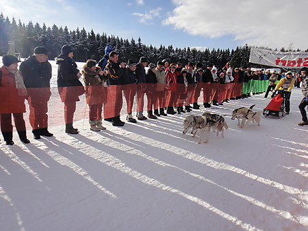 Start Schlittenhunderennen, Nassau