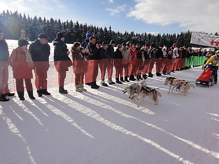 Start Schlittenhunderennen, Nassau