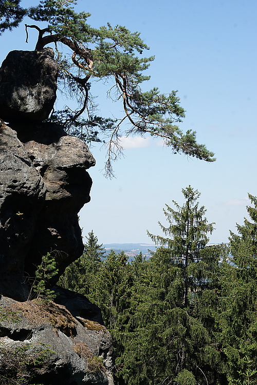 Fernblick vom Töpfer Richtung Zittau