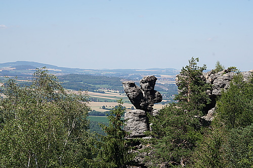 Küken am Töpfer