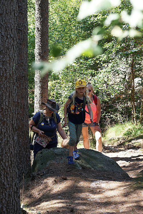 Felsen auf dem Weg: zum drüberklettern