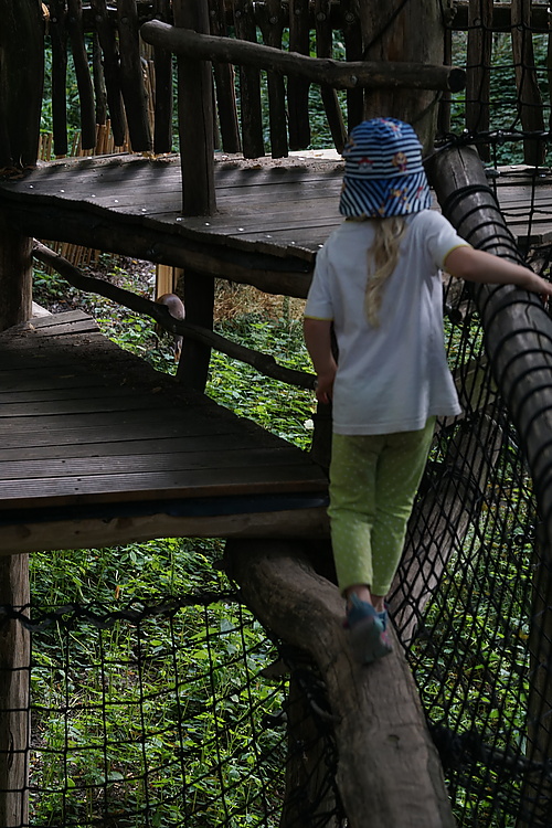 Kletterpfad im Tierpark Görlitz