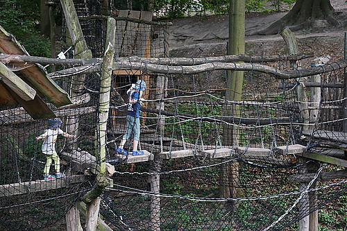 Kletterpfad im Tierpark Görlitz