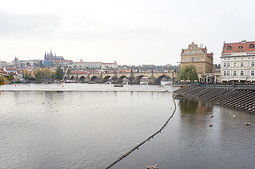 Karlsbrücke in Prag voller Menschen