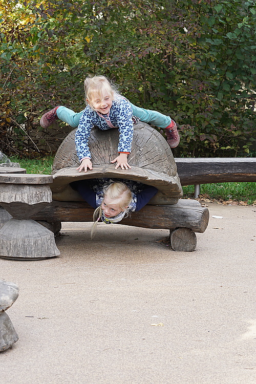 Alina Schildkröte