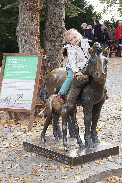 Bronze Przewalski-Pferd, Zoo Prag