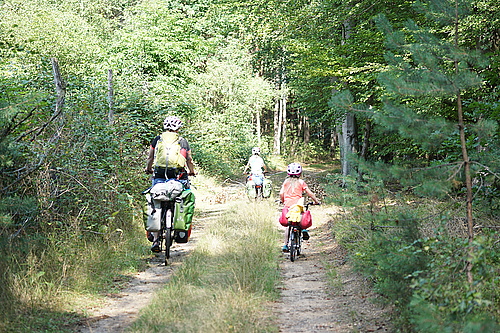 Irgendwo im Wald zwischen Holschdubrau und Johnsdorf