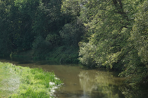 Hauptspree in Halbendorf