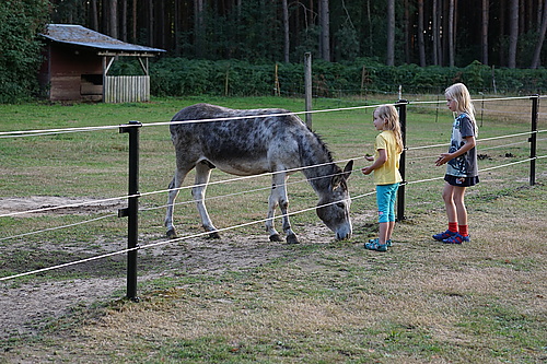 Willy und Bruno im Tierpark Thräna