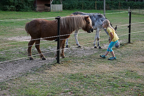 Willy und Bruno im Tierpark Thräna