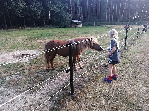 Willy und Bruno im Tierpark Thräna