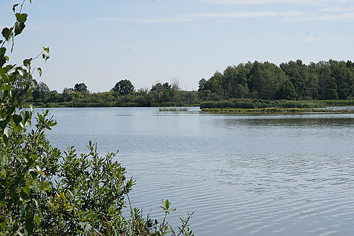 Teilstaubecken Reichendorf