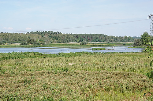 Teilstaubecken Reichendorf