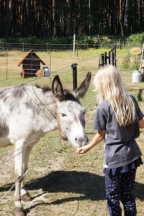 Willy im Ziegen- und Wildtierpark Thräna