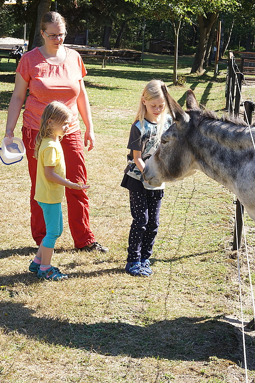 Willy im Ziegen- und Wildtierpark Thräna