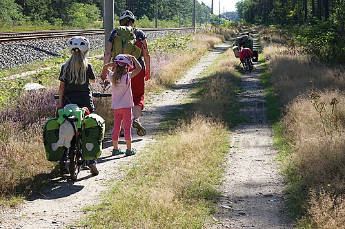 eidechsen begucken auf dem Radweg