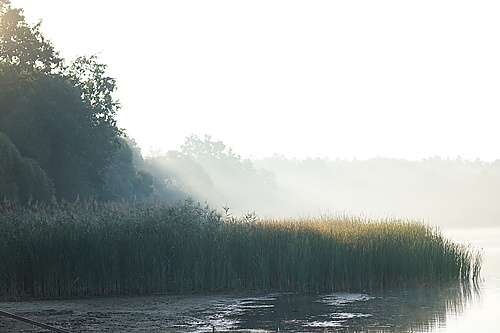 Deutschbaselitzer Großteich