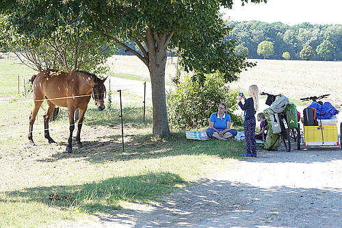 Pferdekoppel in Ralbitz