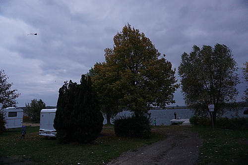 Drachensteigen am Süßen See