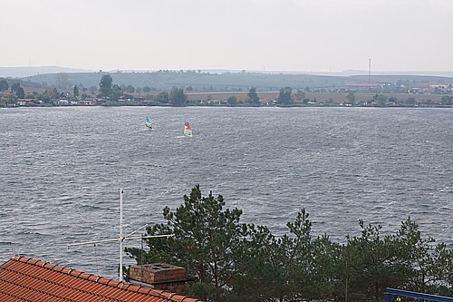 Windsurfer auf dem Süßen See