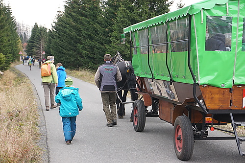 Kutsche auf der Brokenstrasse