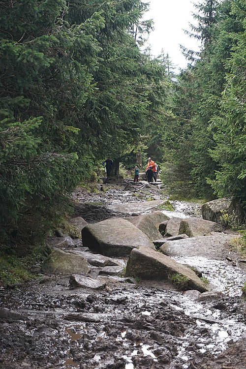 Oberes Ende Eckerlochstieg, Brocken